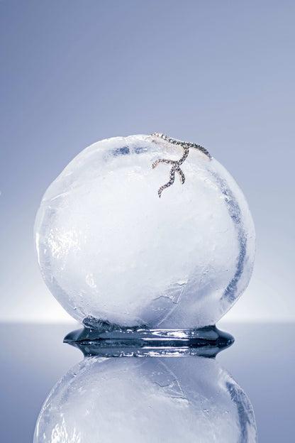 Pavé Diamond Alga Ring - Nisi Jewelry - Delux Jewels  Luxury jewelry  Fine jewelry  Designer jewelry  High-end jewelry  Premium jewelry  Elegant jewelry Diamond rings  Gold necklaces  Gemstone earrings  Luxury bracelets  Statement jewelry  Wedding bands  Engagement rings  Custom jewelry Buy luxury jewelry online  Affordable luxury jewelry  Handmade fine jewelry  Jewelry for gifts  Unique jewelry pieces  Jewelry store online